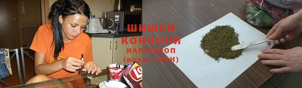 дурь Пестово