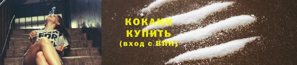 дурь Пестово