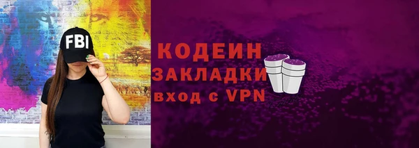 дурь Пестово