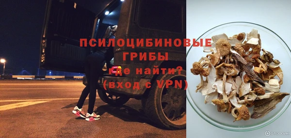 дурь Пестово