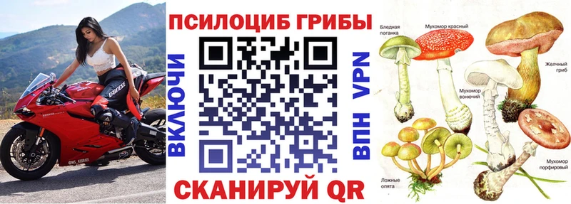 Галлюциногенные грибы мицелий  Сертолово 