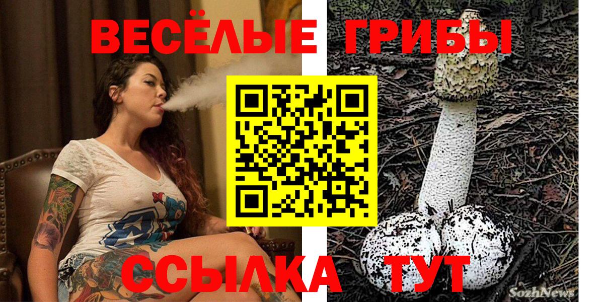 Псилоцибиновые грибы Cubensis Сертолово