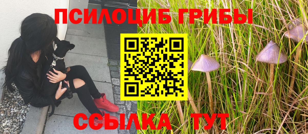 Сертолово  Галлюциногенные грибы ЛСД  Вход с VPN 